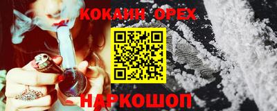 спиды Кингисепп