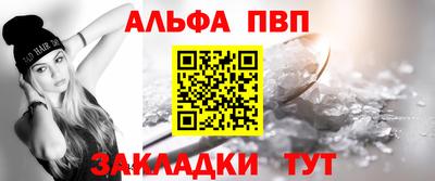 спиды Кингисепп