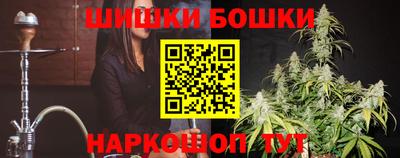 спиды Кингисепп