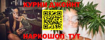спиды Кингисепп