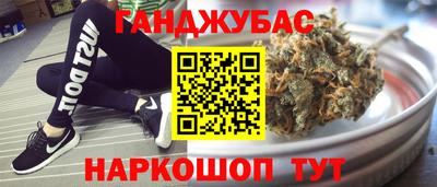 спиды Кингисепп