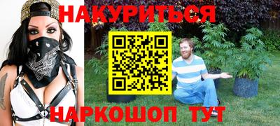 спиды Кингисепп