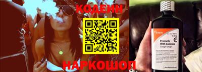 спиды Кингисепп