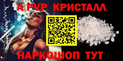 спиды Кингисепп
