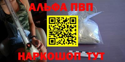 спиды Кингисепп