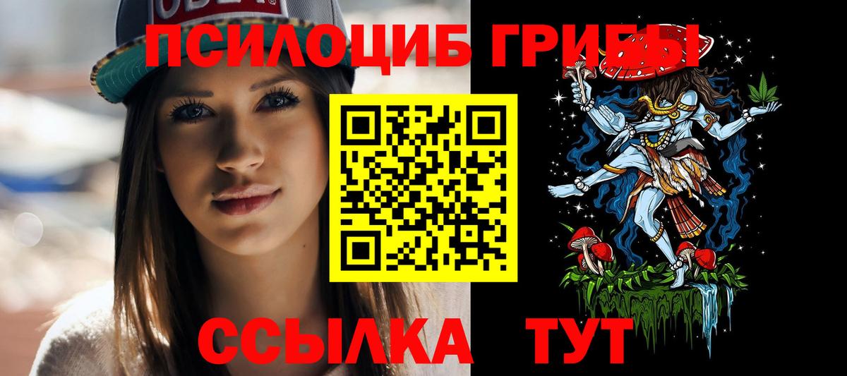 Дюртюли  закладки  Вход с VPN  Псилоцибиновые грибы Psilocybine cubensis 